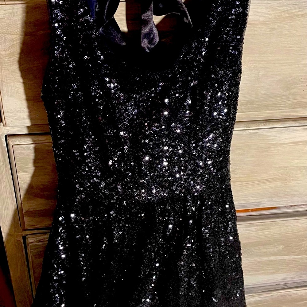Alexandrea size small costume/Dance Darling size 0/1 costume in blue